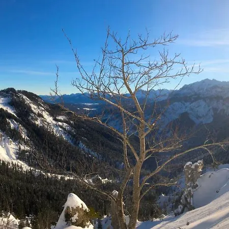 Yeti Lux - Family Garden Lejlighed