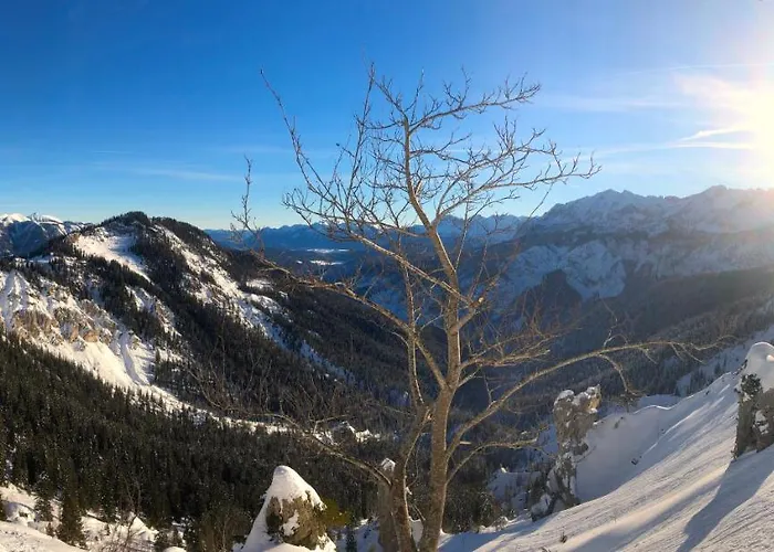 Yeti Lux - Family Garden Apartment